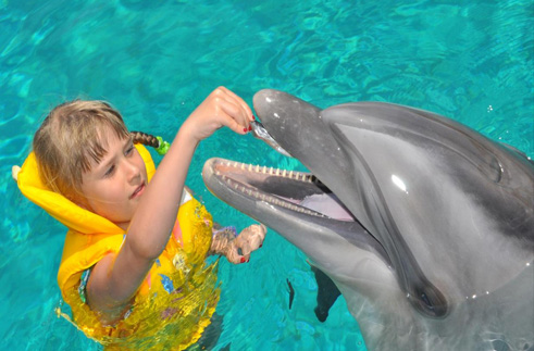 Thousands of Happy Customers